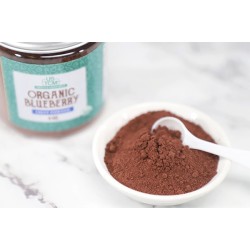 Organic Blueberry Fruit Powder