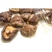 Shiitake Mushroom Cha Hua Gu